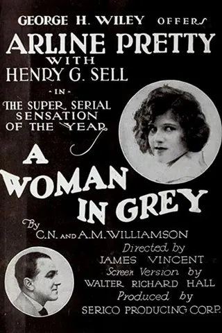 Görsel: TMDB A Woman in Grey afişi