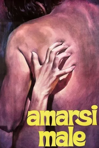 Görsel: TMDB A Wrong Way to Love afişi