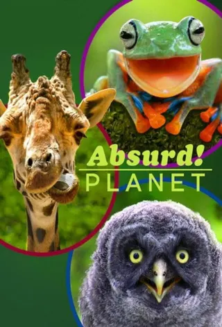 Absurd Planet afişi