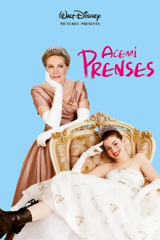 Acemi Prenses afişi