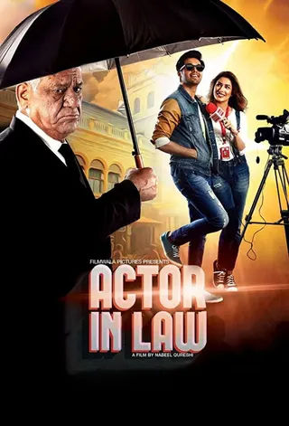 Görsel: TMDB Actor In Law afişi