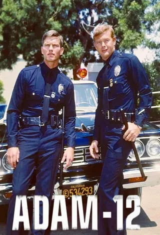 Görsel: TMDB Adam-12 afişi