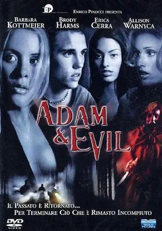Görsel: TMDB Adam and Evil afişi