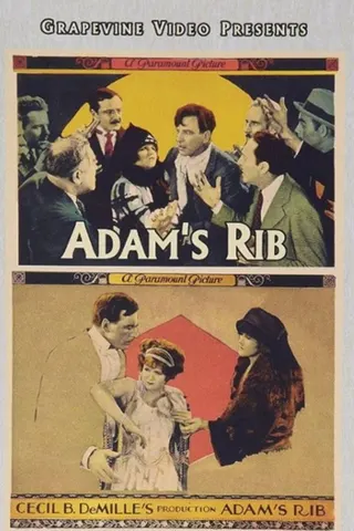 Adam's Rib afişi
