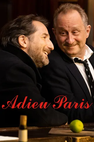 Görsel: TMDB Adieu Paris afişi