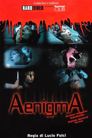 Aenigma afişi
