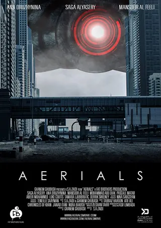 Aerials afişi