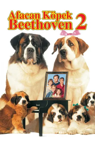 Görsel: TMDB Afacan Köpek Beethoven 2 afişi