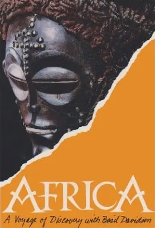 Görsel: TMDB Africa afişi