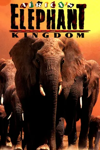 Görsel: TMDB Africa's Elephant Kingdom afişi