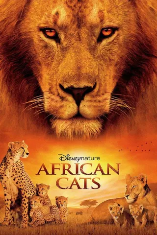 African Cats afişi