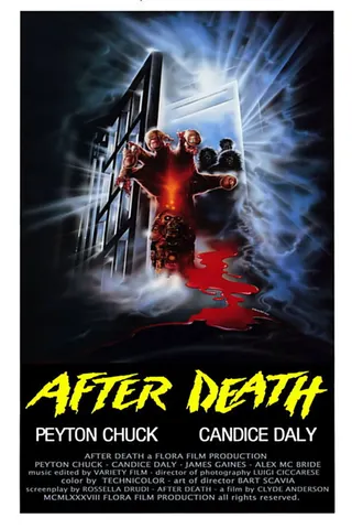 After Death afişi