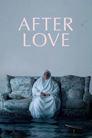 After Love afişi