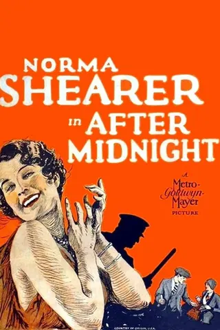 Görsel: TMDB After Midnight afişi