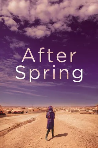 Görsel: TMDB After Spring afişi