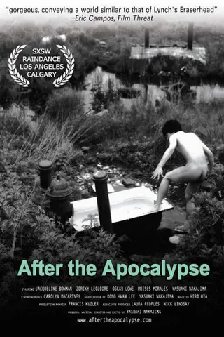 Görsel: TMDB After the Apocalypse afişi