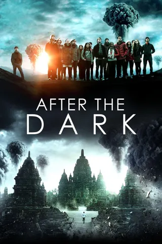 Görsel: TMDB After the Dark afişi
