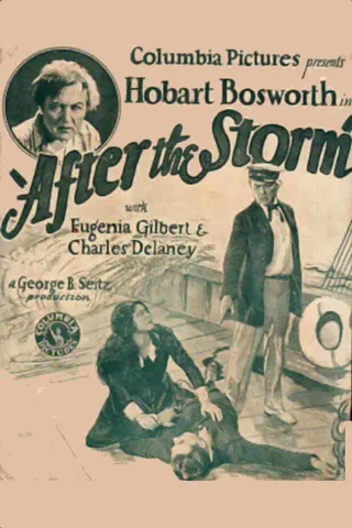 Görsel: TMDB After the Storm afişi