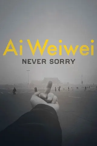 Görsel: TMDB Ai Weiwei: Never Sorry afişi