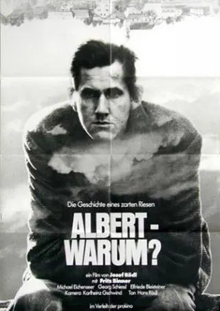 Görsel: TMDB Albert - warum? afişi