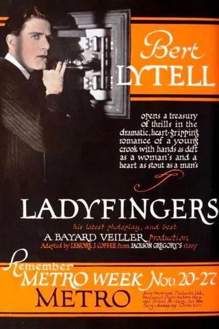 Görsel: TMDB Alias Ladyfingers afişi