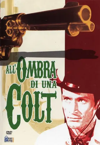 Görsel: TMDB All'ombra di una colt afişi