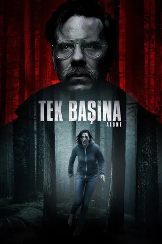 Görsel: TMDB Alone afişi