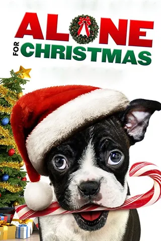Görsel: TMDB Alone for Christmas afişi