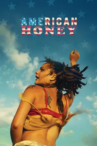 Görsel: TMDB American Honey afişi