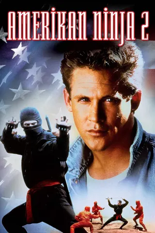 American Ninja 2: The Confrontation afişi