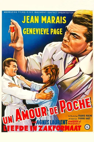 Amour de poche afişi