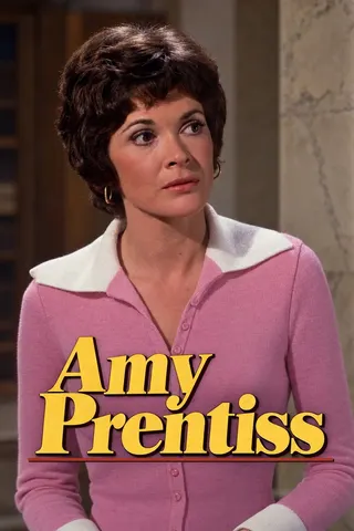 Görsel: TMDB Amy Prentiss afişi