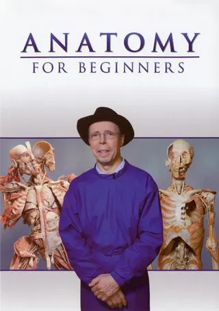 Görsel: TMDB Anatomy for Beginners afişi