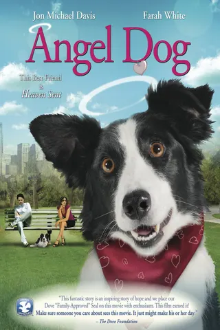 Angel Dog afişi