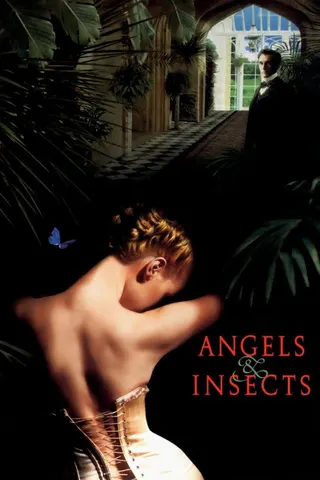 Angels & Insects afişi