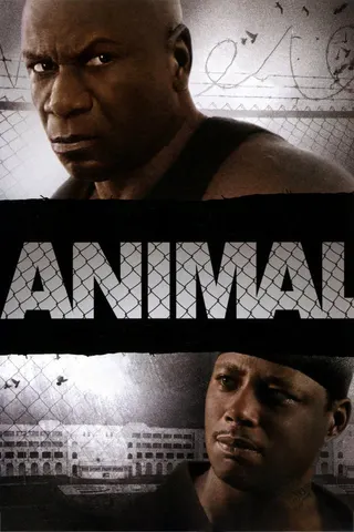 Görsel: TMDB Animal afişi