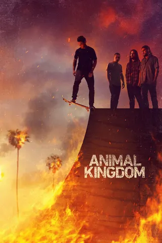 Görsel: TMDB Animal Kingdom afişi