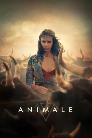 Animale afişi