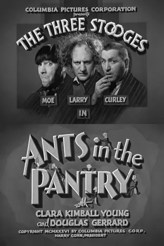 Ants in the Pantry afişi