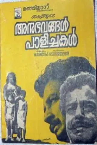 Anubhavangal Paalichakal afişi