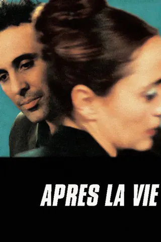 Après la vie afişi