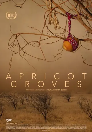 Apricot Groves afişi