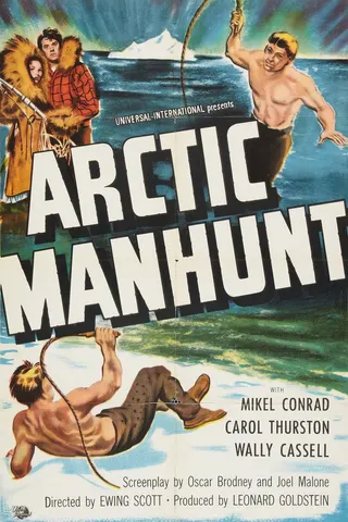 Görsel: TMDB Arctic Manhunt afişi