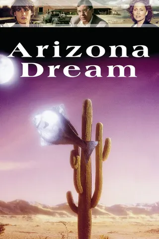 Görsel: TMDB Arizona Rüyası afişi