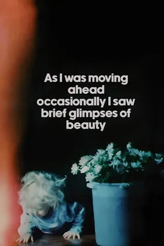 Görsel: TMDB As I Was Moving Ahead Occasionally I Saw Brief Glimpses of Beauty afişi