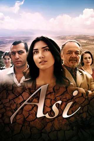 Asi afişi