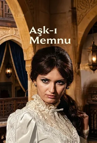 Aşk-ı Memnu afişi