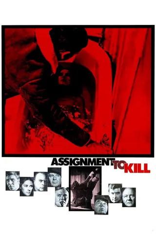Görsel: TMDB Assignment to Kill afişi