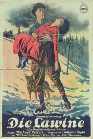 Avalanche afişi