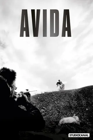 Avida afişi